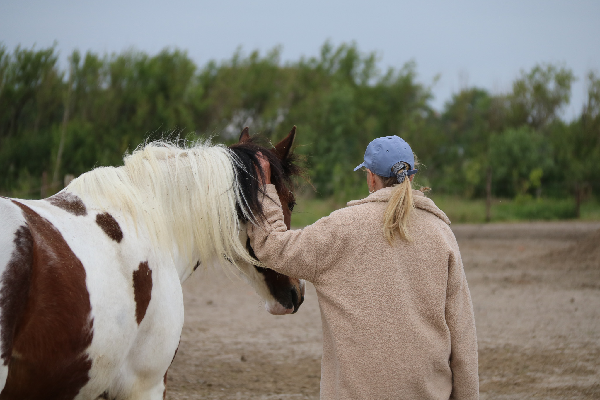 Paardencoaching in actie
